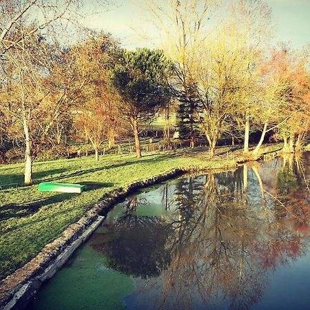 Gite Moulin De Lausseignan Barbaste Εξωτερικό φωτογραφία