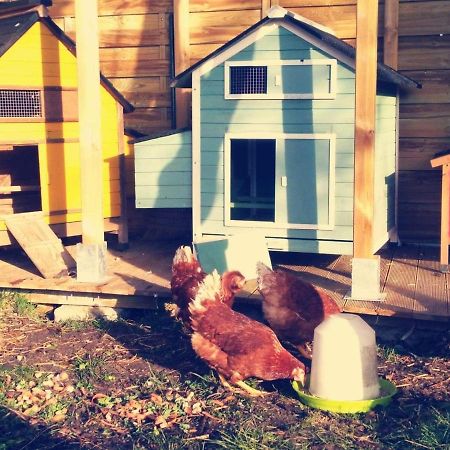 Gite Moulin De Lausseignan Barbaste Εξωτερικό φωτογραφία