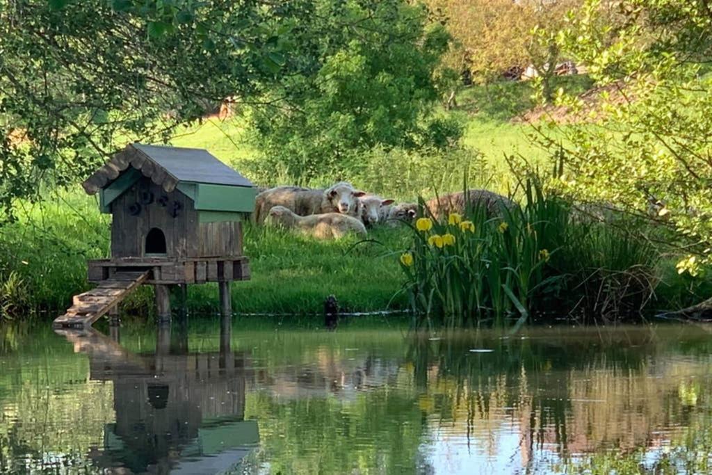 Gite Moulin De Lausseignan Barbaste Εξωτερικό φωτογραφία
