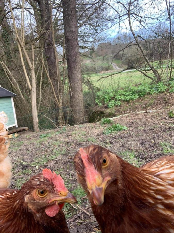 Gite Moulin De Lausseignan Barbaste Εξωτερικό φωτογραφία